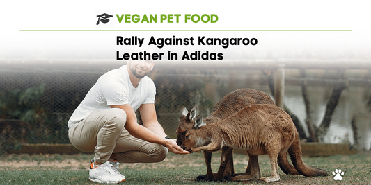 Rally Against Kangaroo Leather in Adidas 🦘
