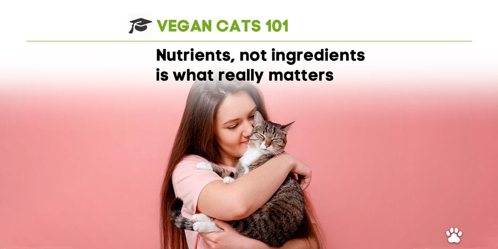 Vegan Cats 101: nutrients, not ingredients is what really matters