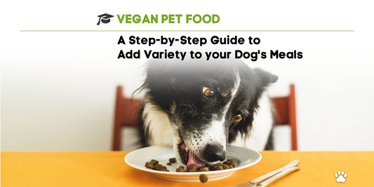 A Step-by-Step Guide to Add Variety to your Pet's Meals