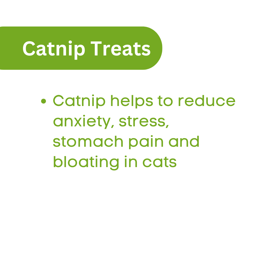 Vecado Catnip Cat Treats