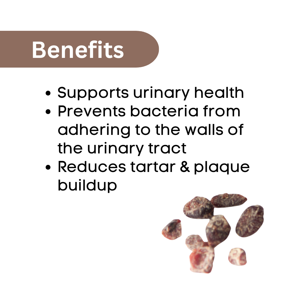 Cranberry Chewy Treats for Cats and Dogs