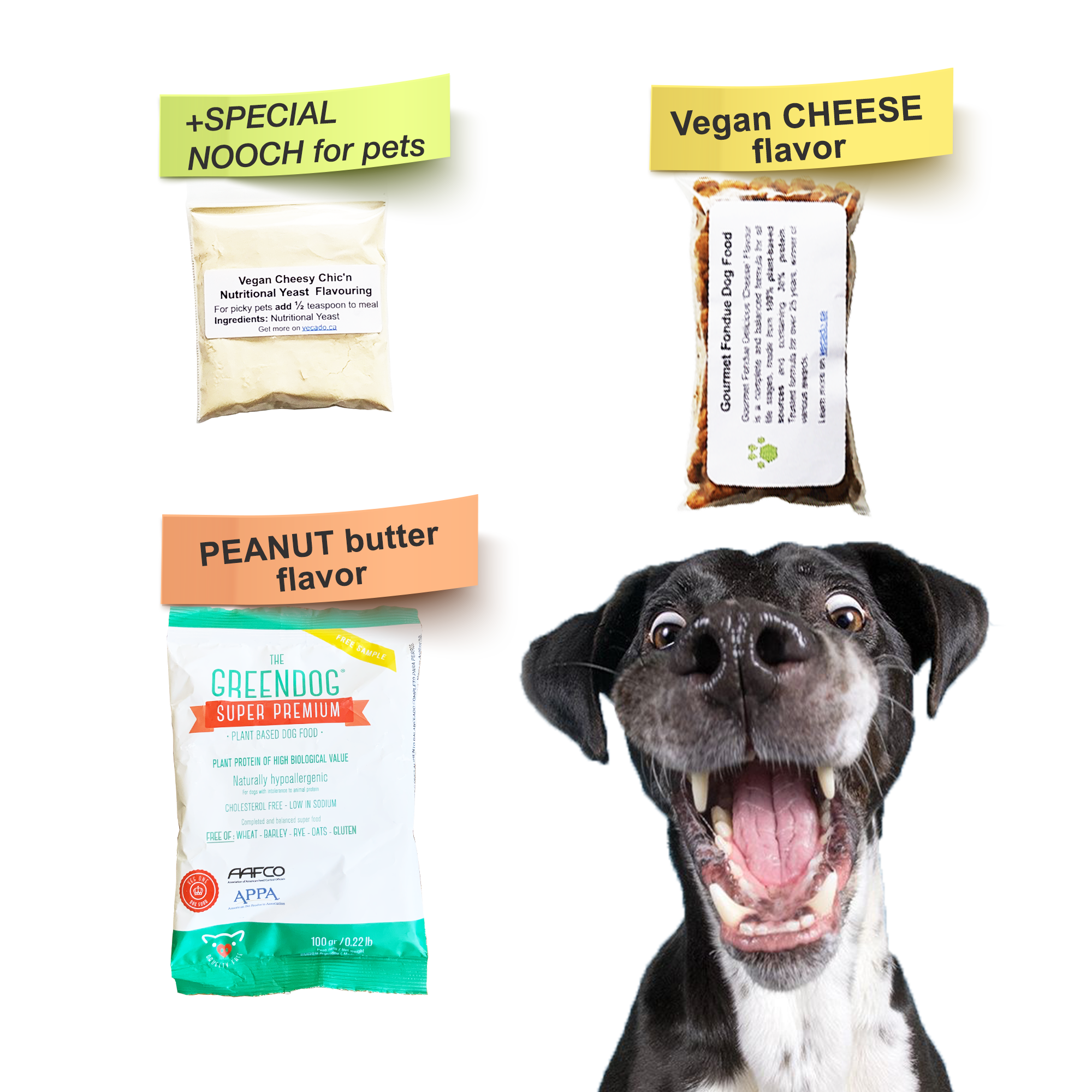 Canidae dog food sales samples