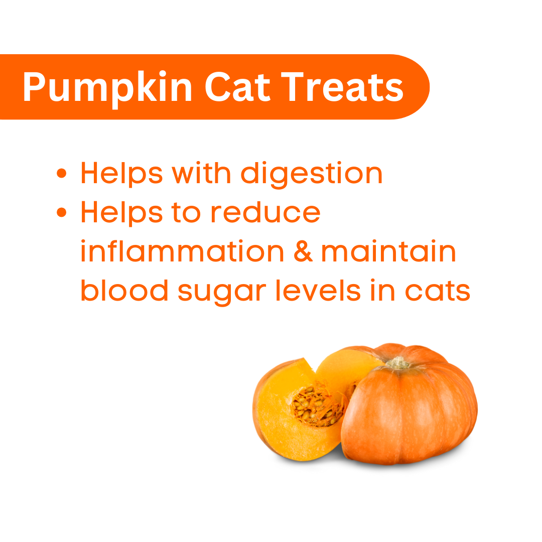 Vecado Pumpkin Cat Treats