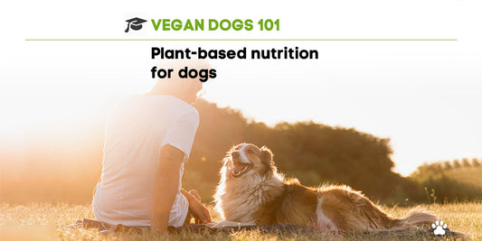 Vegan Dogs 101: plant-based nutrition for dogs