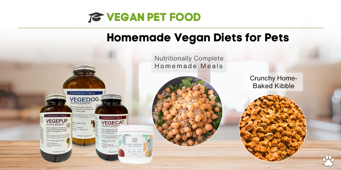 Homemade Vegan Diets for Dogs and Cats