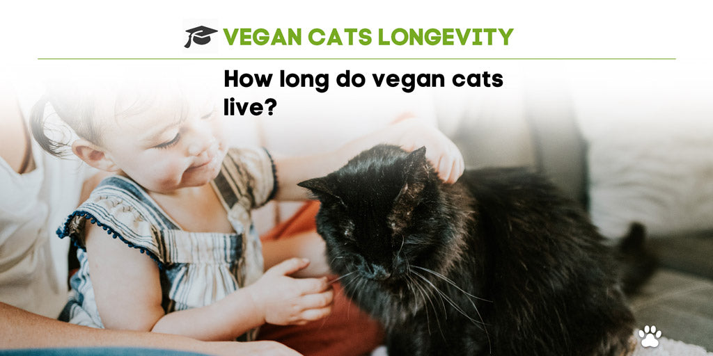 How long do Vegan Cats live? 🕒