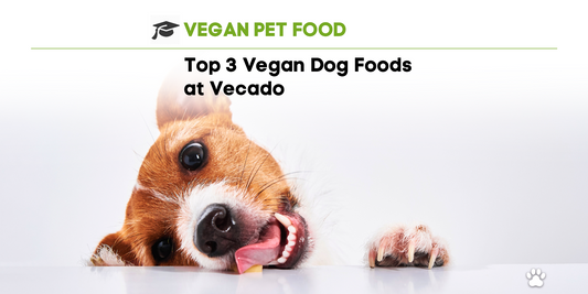 Top 3 Vegan Dog foods at Vecado