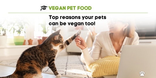 Top reasons your pets can be vegan too! What the latest research says.
