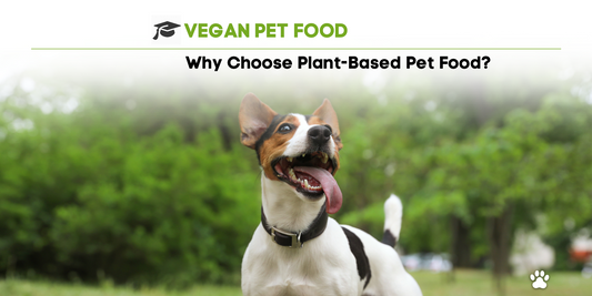 Why More Pet Parents Are Choosing Plant-Based Diets?