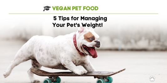 🌱 5 Tips for Managing Your Pet's Weight!