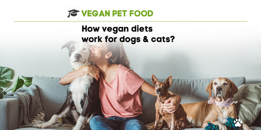 How Vegan Diets work for Dogs and Cats?