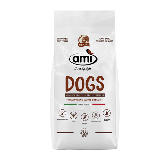 Ami Dog