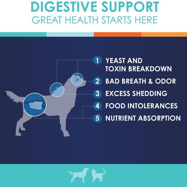 Enzyme Miracle Digestive Systemic for Pets